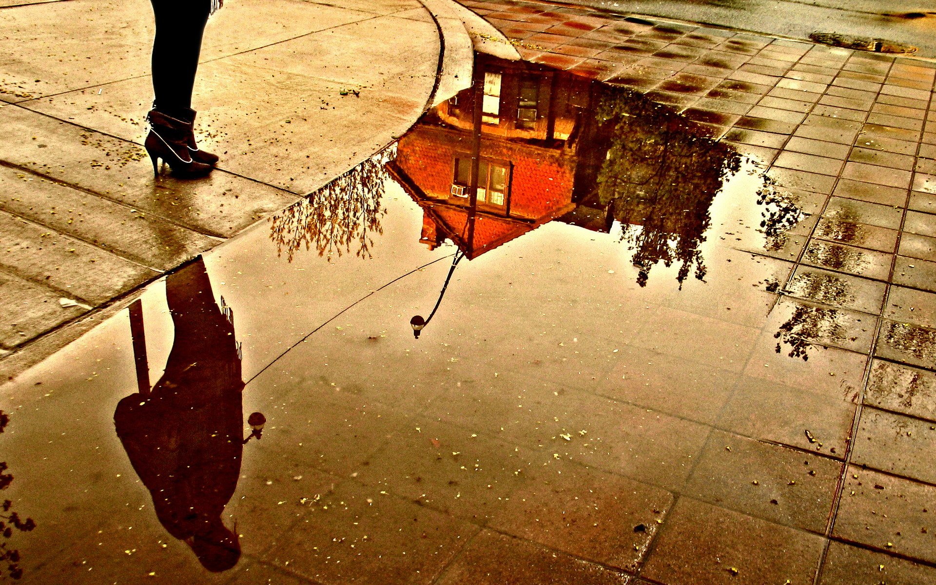 rue flaque d eau pieds maison réflexion