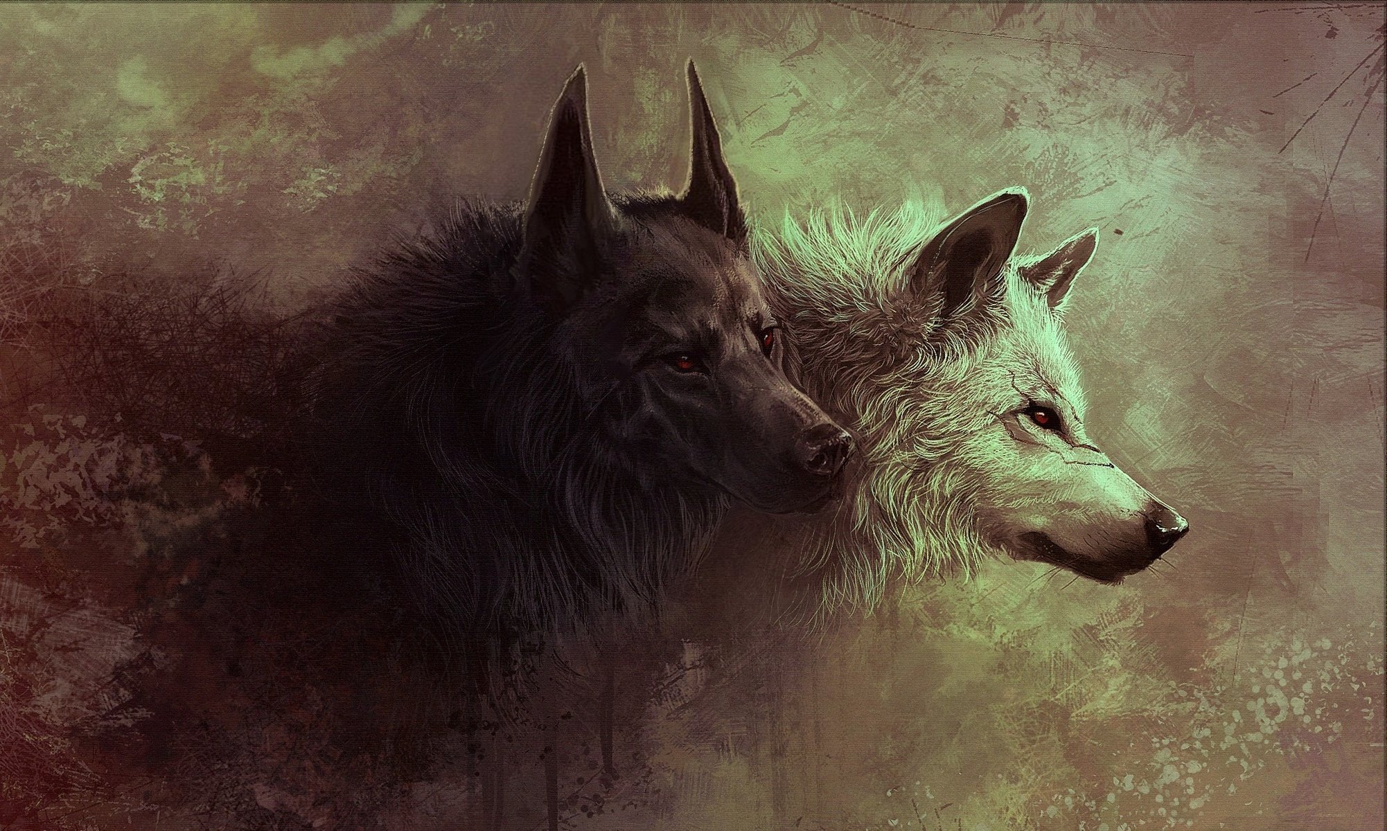 lobo animales lobo arte