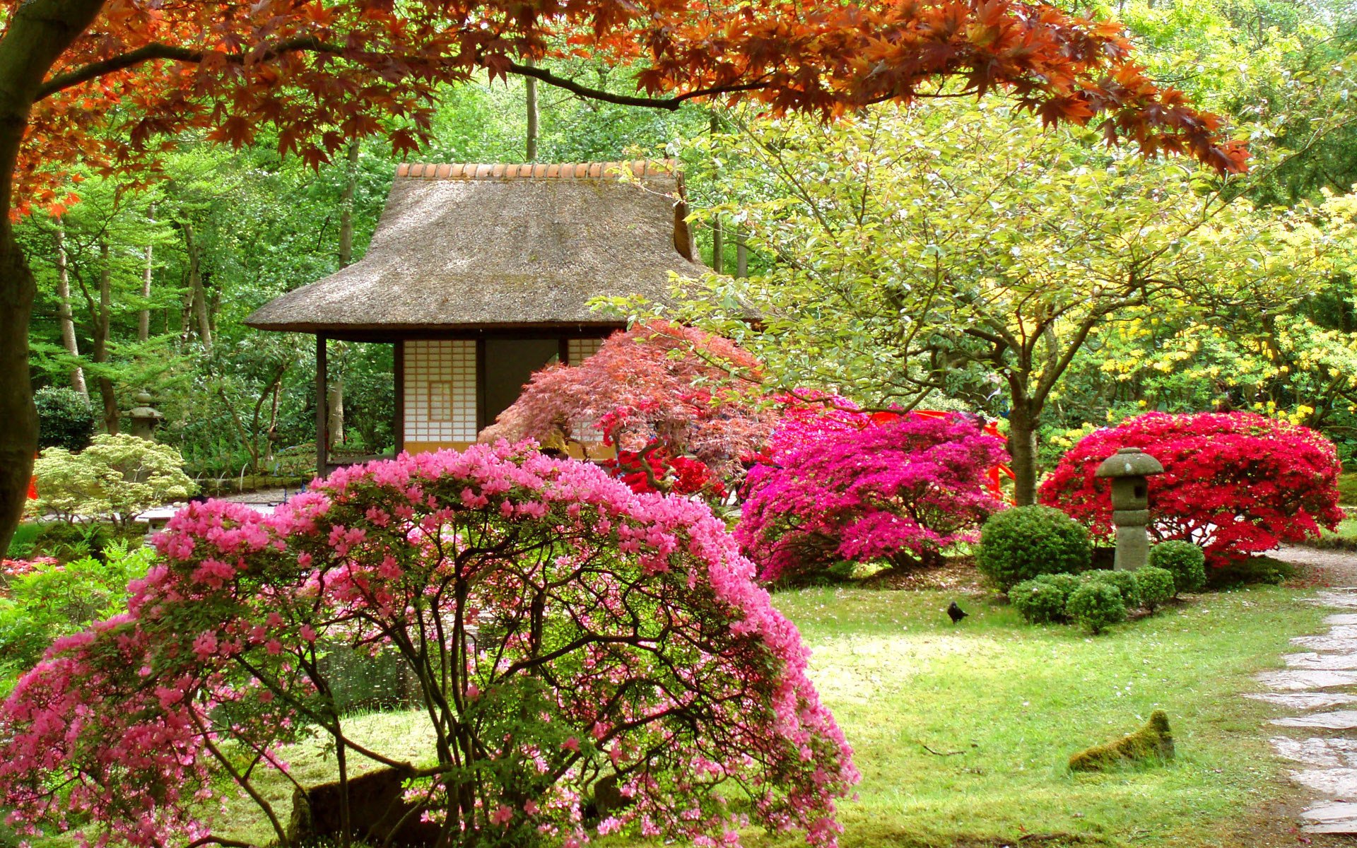 japanischer garten landschaft haus bäume