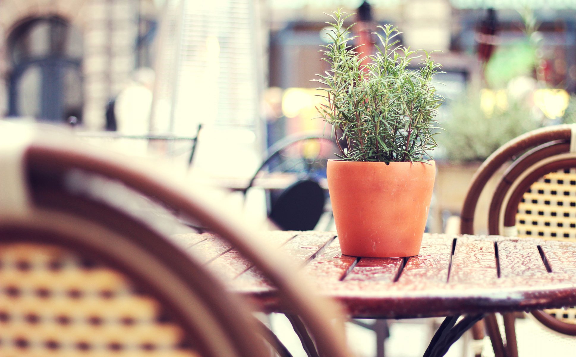 tea-garden city street after rain wicker chairs tilt-shift cafe town after rain table wicker chairs flower pot