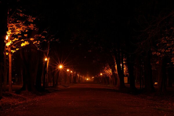 Allée du soir vide dans la lumière chaude des lanternes