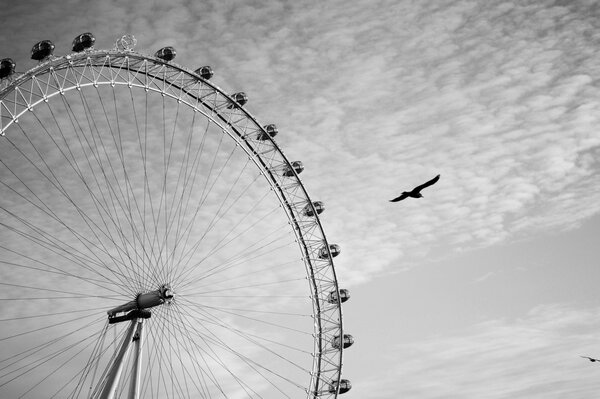 Ferris wheel against the sky and a soaring bird