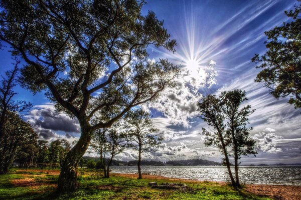 Bright sun. Beautiful sky on the lake shore