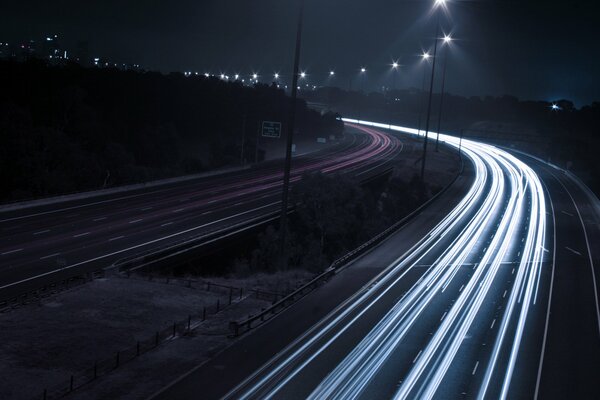 Nuit lumières tronc lumières