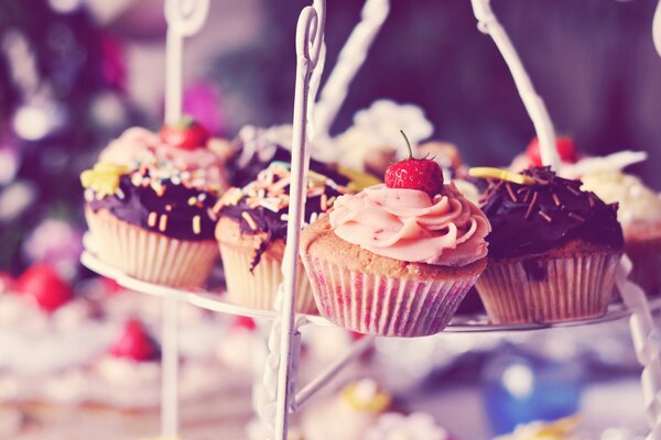 Chocolate and vanilla cupcakes on a stand