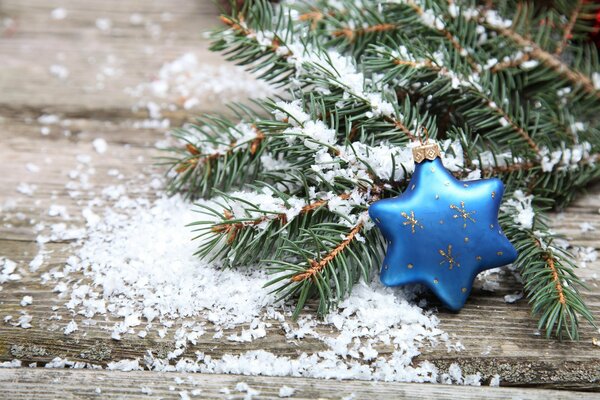 Estrella azul en una ramita de nieve