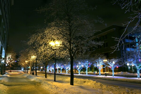 Wieczór świecą światła i lampiony zima śnieg