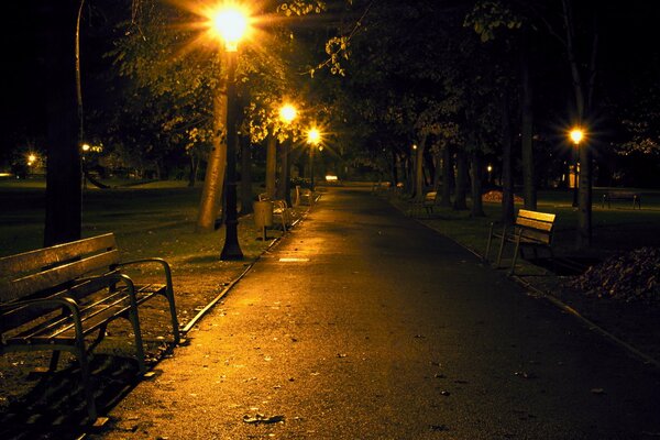 Park at night bench