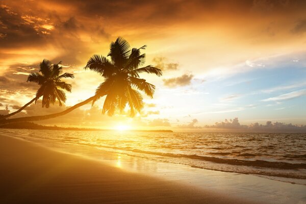 Coucher de soleil sur la rive de l océan agité