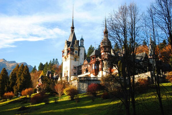 Autumn nature in Romania