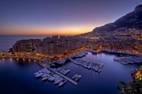 Night view of the port in Monaco
