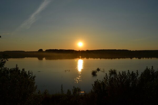 Schöner Sonnenuntergang am See im Sommer