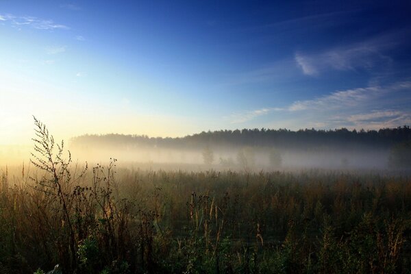 Fog in the field against the blue sky