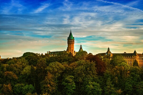 Evening city surrounded by purple-green foliage of trees