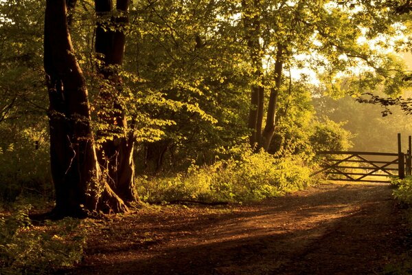 The road over the fence to the sun