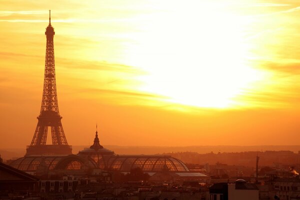 Photo of the Eiffel Tower against the sunset