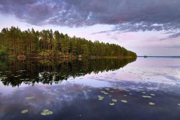 Lago en Suecia. Pequeña isla