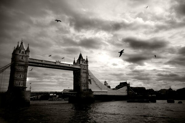 Великобритания, Лондон. Тауэрский мост на Темзе, пасмурное небо с облаками и птицами