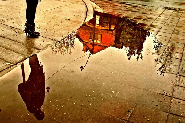 Reflection in a puddle on the street