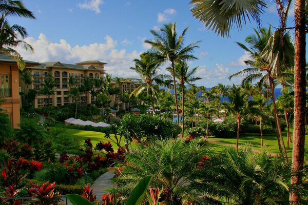 Palme con piscina alle Hawaii