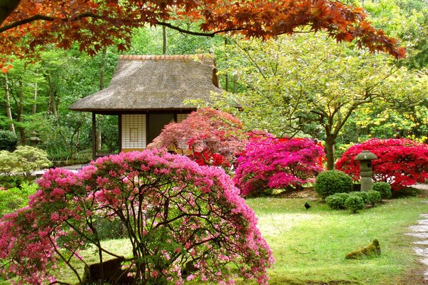 Ogród Japoński z domkiem i kwitnącymi drzewami