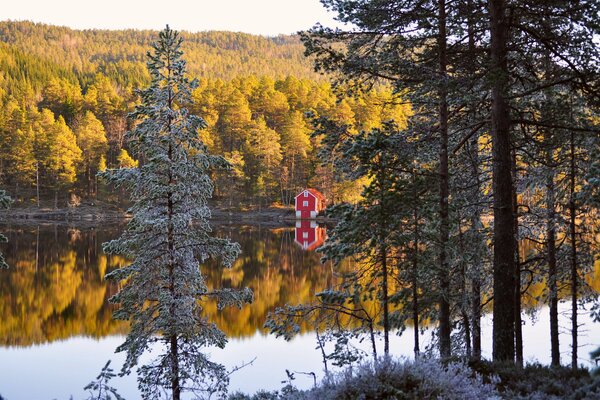 La belleza del otoño de Noruega