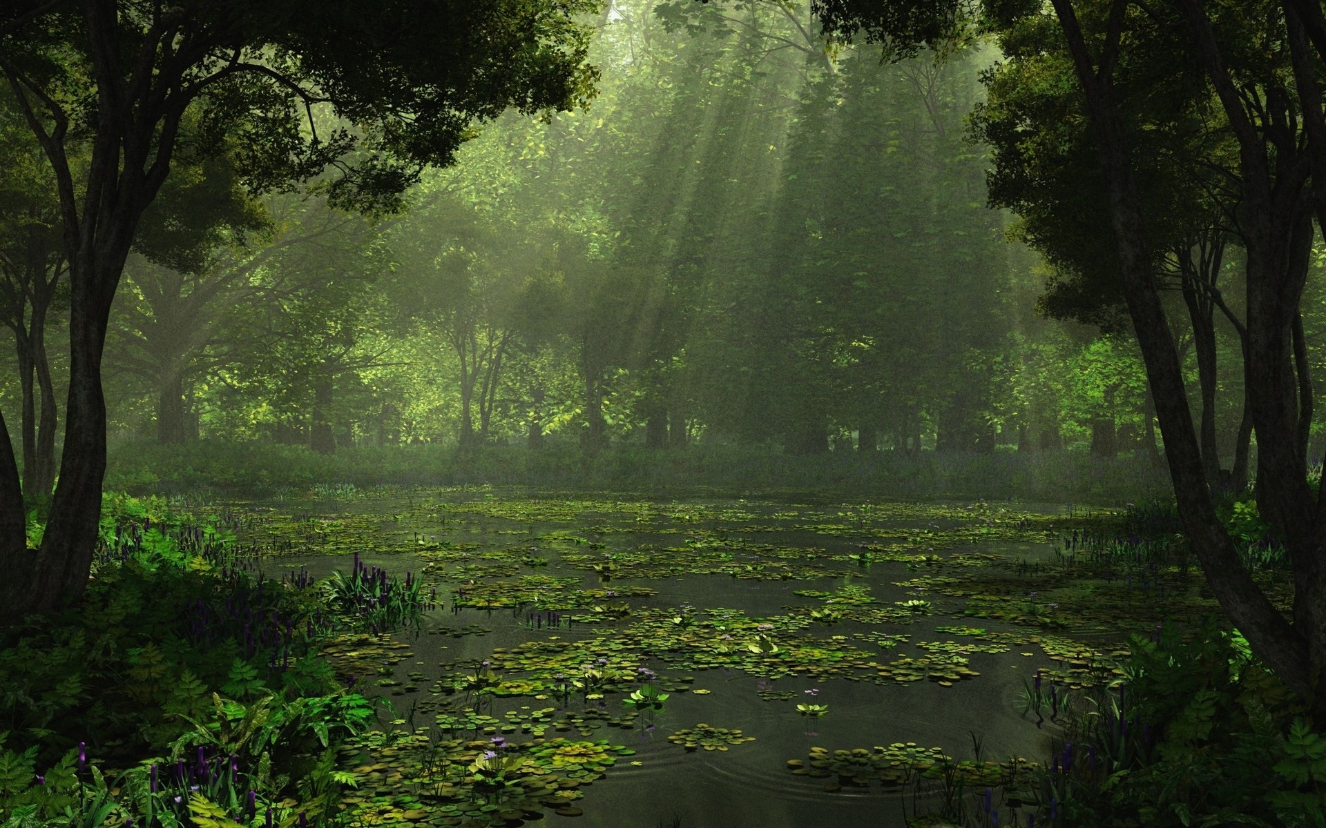 réflexion verdure forêt arbres rayons de lumière été lac