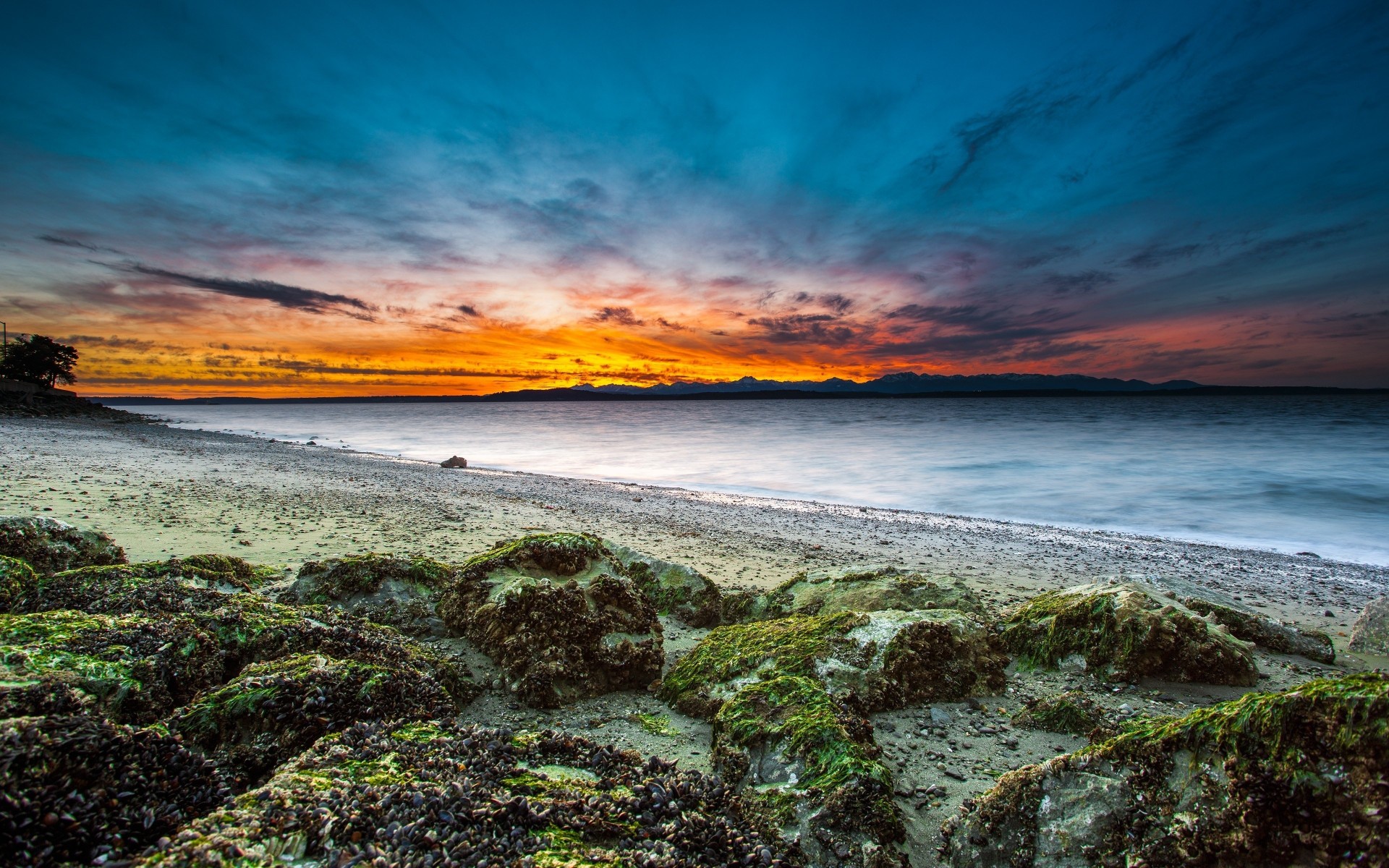 sonnenuntergang landschaft wolken meer usa strand natur küste horizont ozean küste felsen felsen washington algen seattle