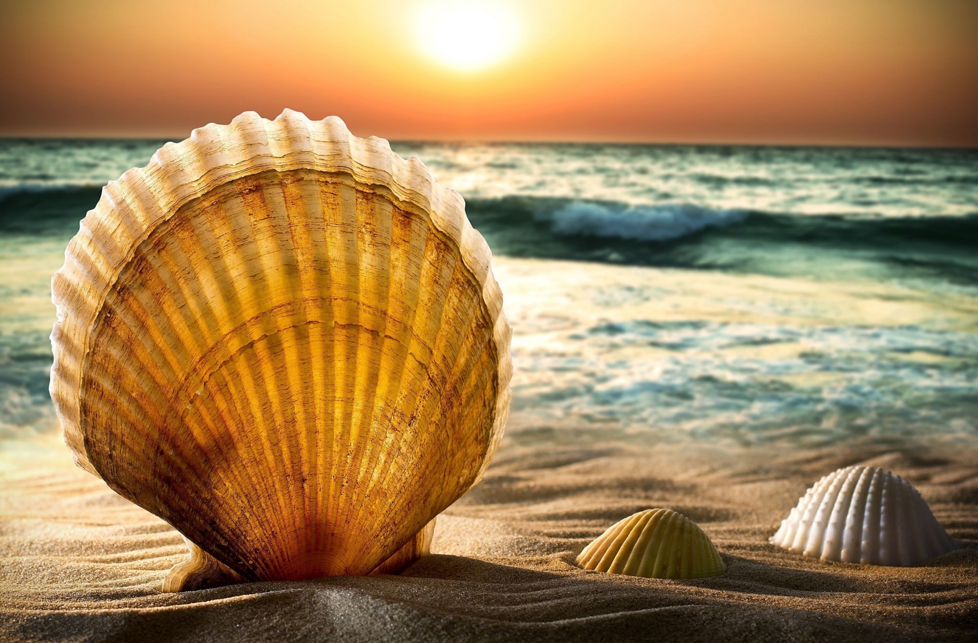 widescreen vollbild sonnenuntergang natur hintergrund muscheln schalen tapeten wasser sonne welle meer sand. strand horizont himmel