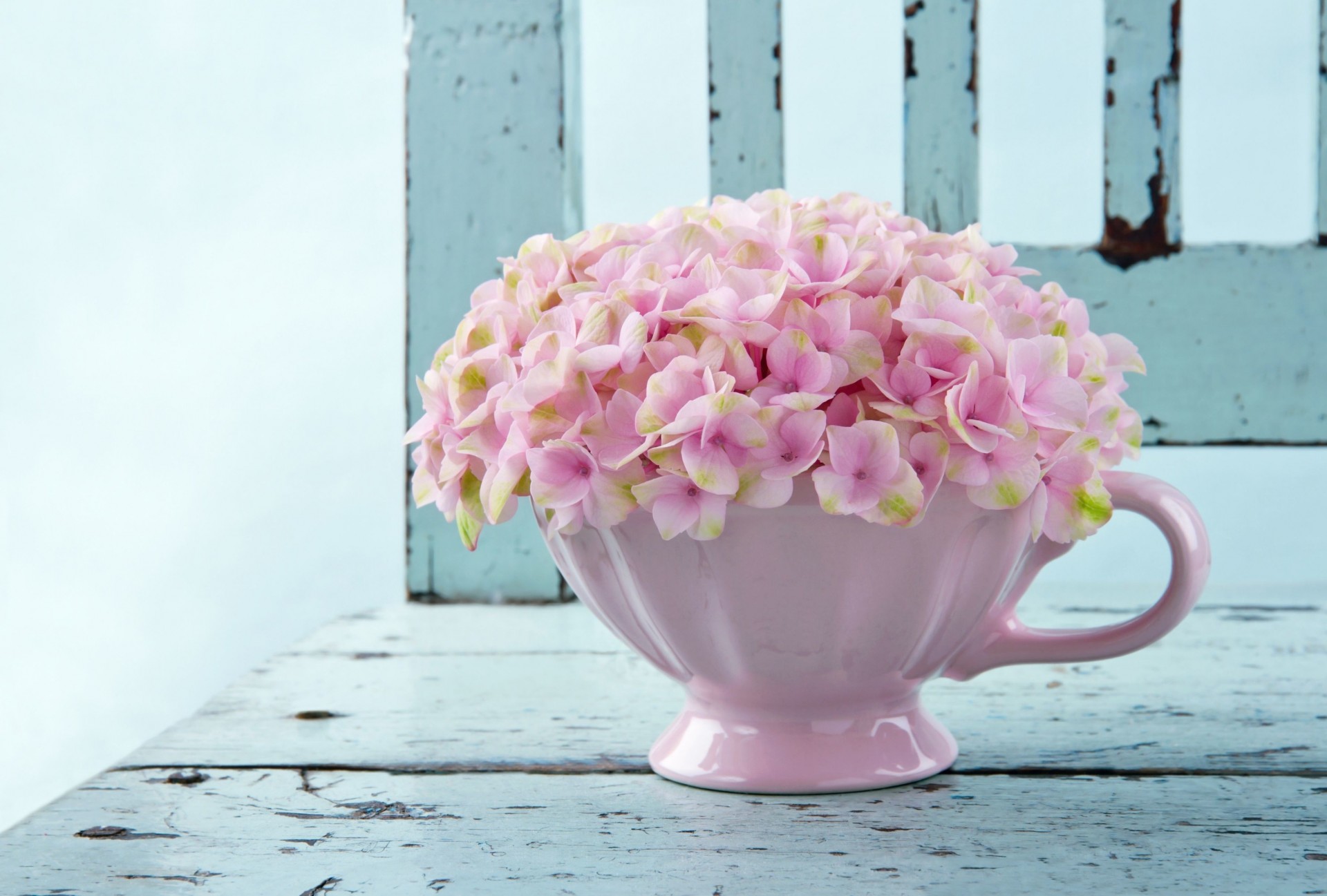 fleurs plein écran vase grand écran fond papier peint rose