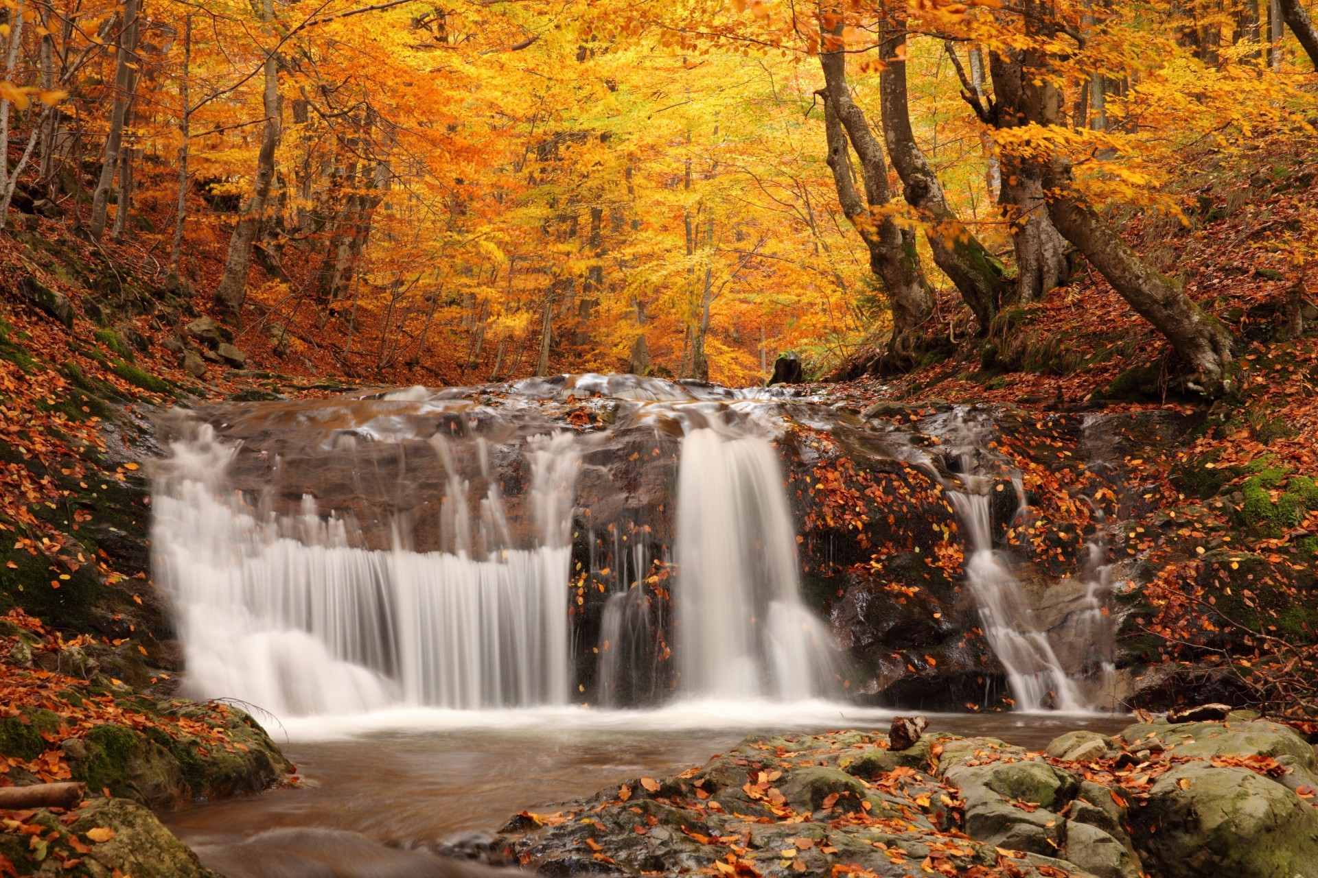 pierres cascade forêt chute de feuilles automne cascades