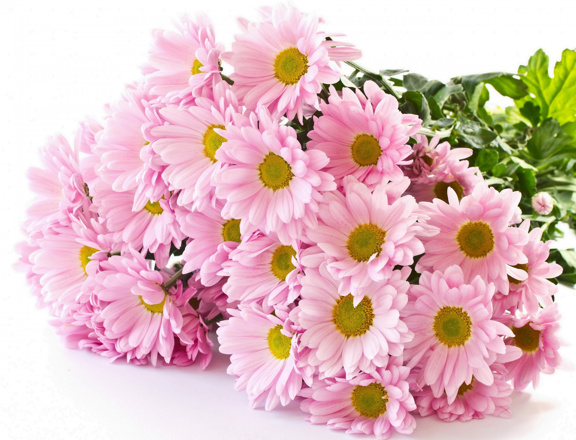 pink many chrysanthemum bouquet