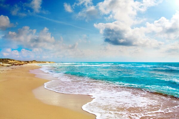 Playa tropical y océano azul