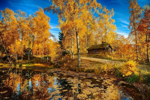 The house on the shore of the pond is decorated with golden autumn