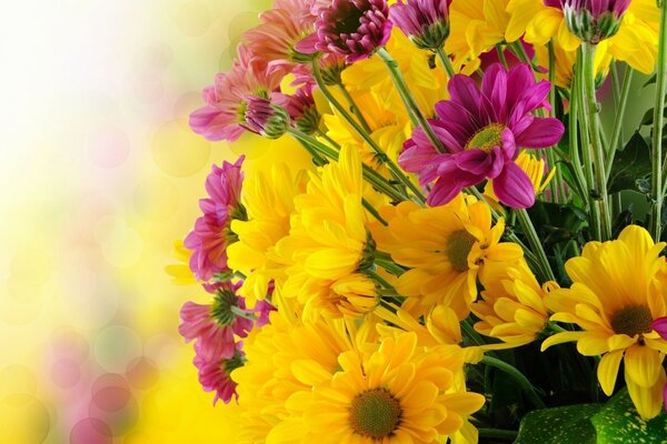 Bukiet jasnych kwiatów w Kolorze Żółtym