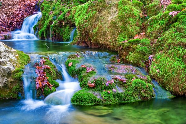 The river flows but rocks and moss