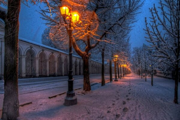 Wieczorny zimowy park ze ścieżką wzdłuż latarni