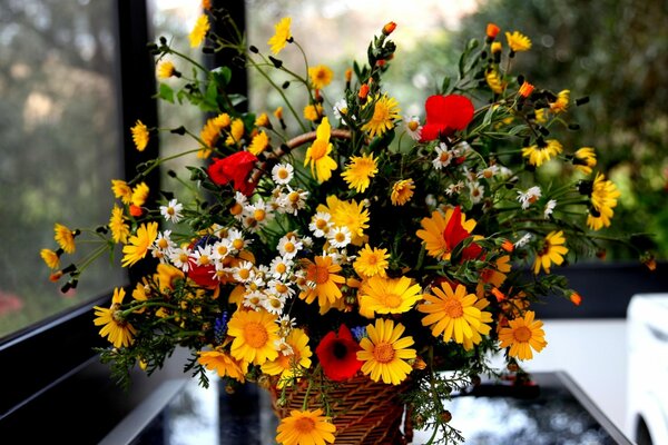 Vase mit einem Blumenstrauß aus Gänseblümchen und Mohn