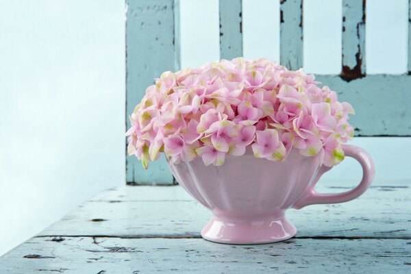 Vaso e fiori in rosa
