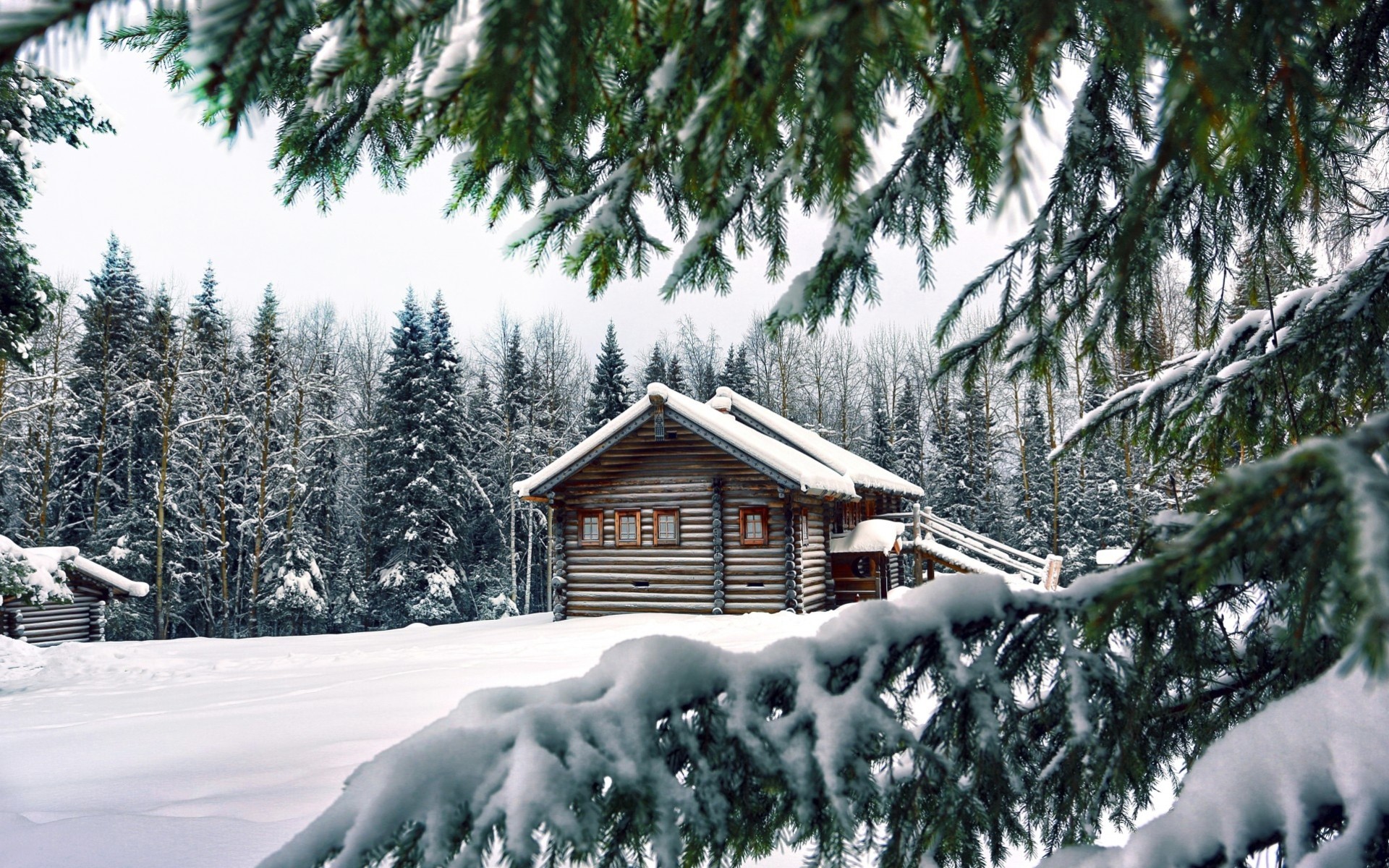 árbol de navidad paisaje árboles bosque casa edificio nieve invierno