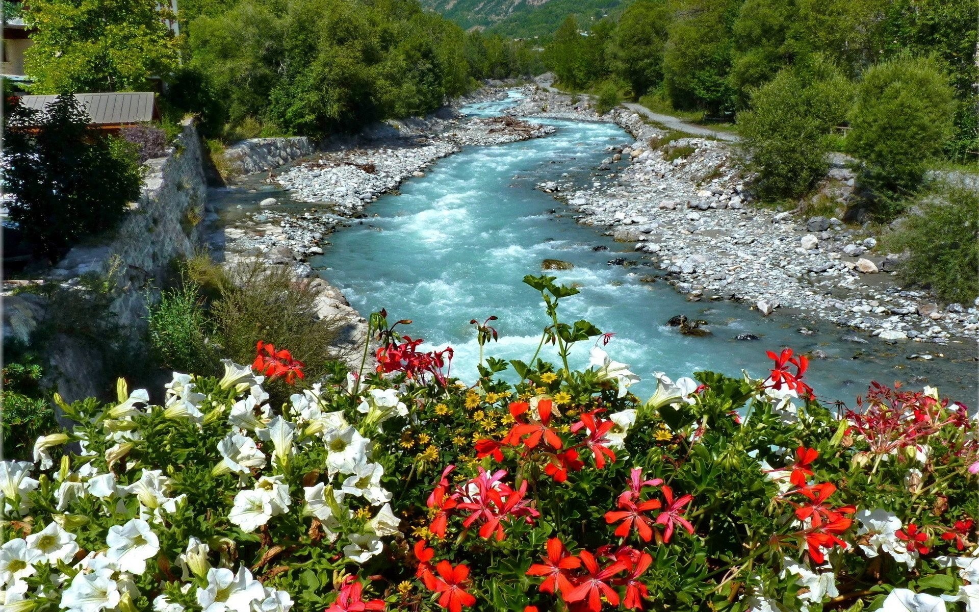 rivière fleurs lit canal