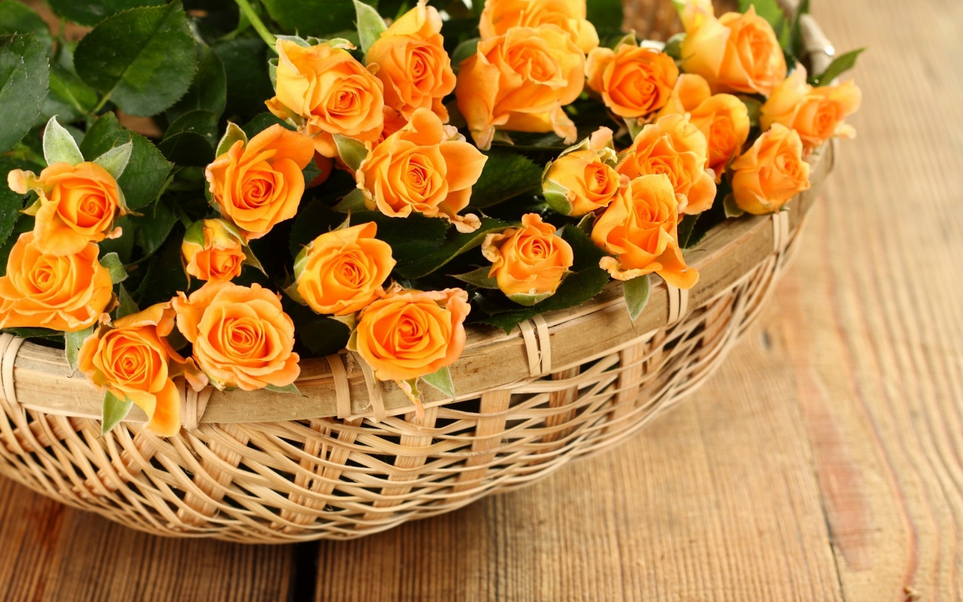 petals roses rose baskets flowers basket