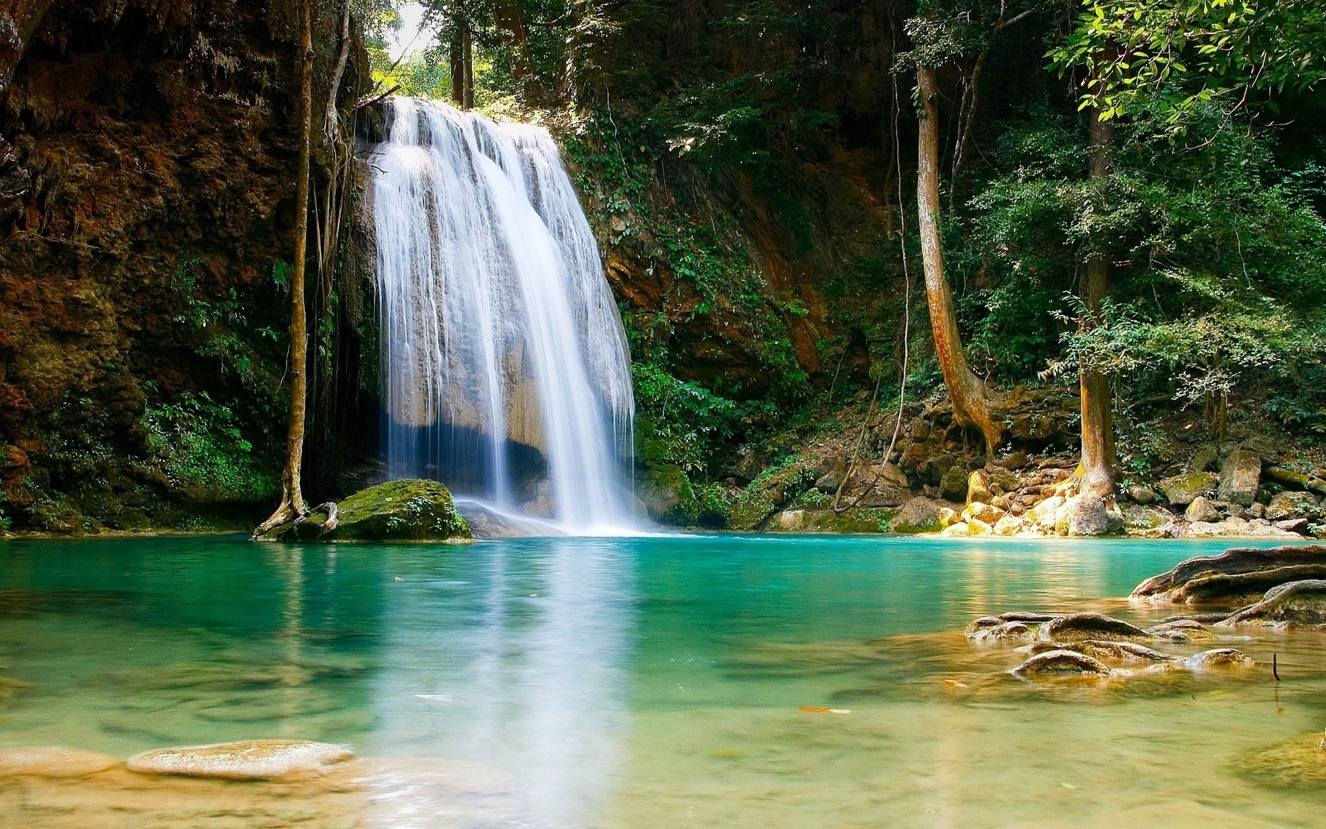 tree landscape pond waterfall