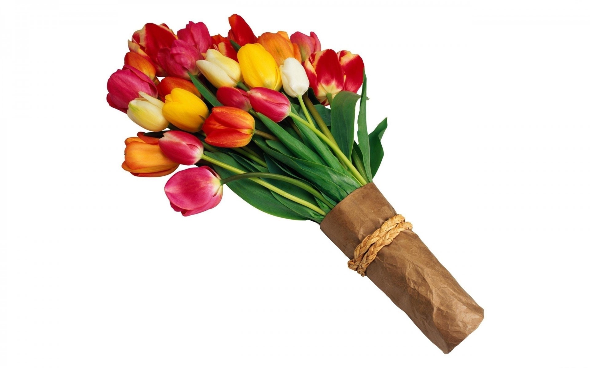 bouquet flower white background tulips newspapers bright