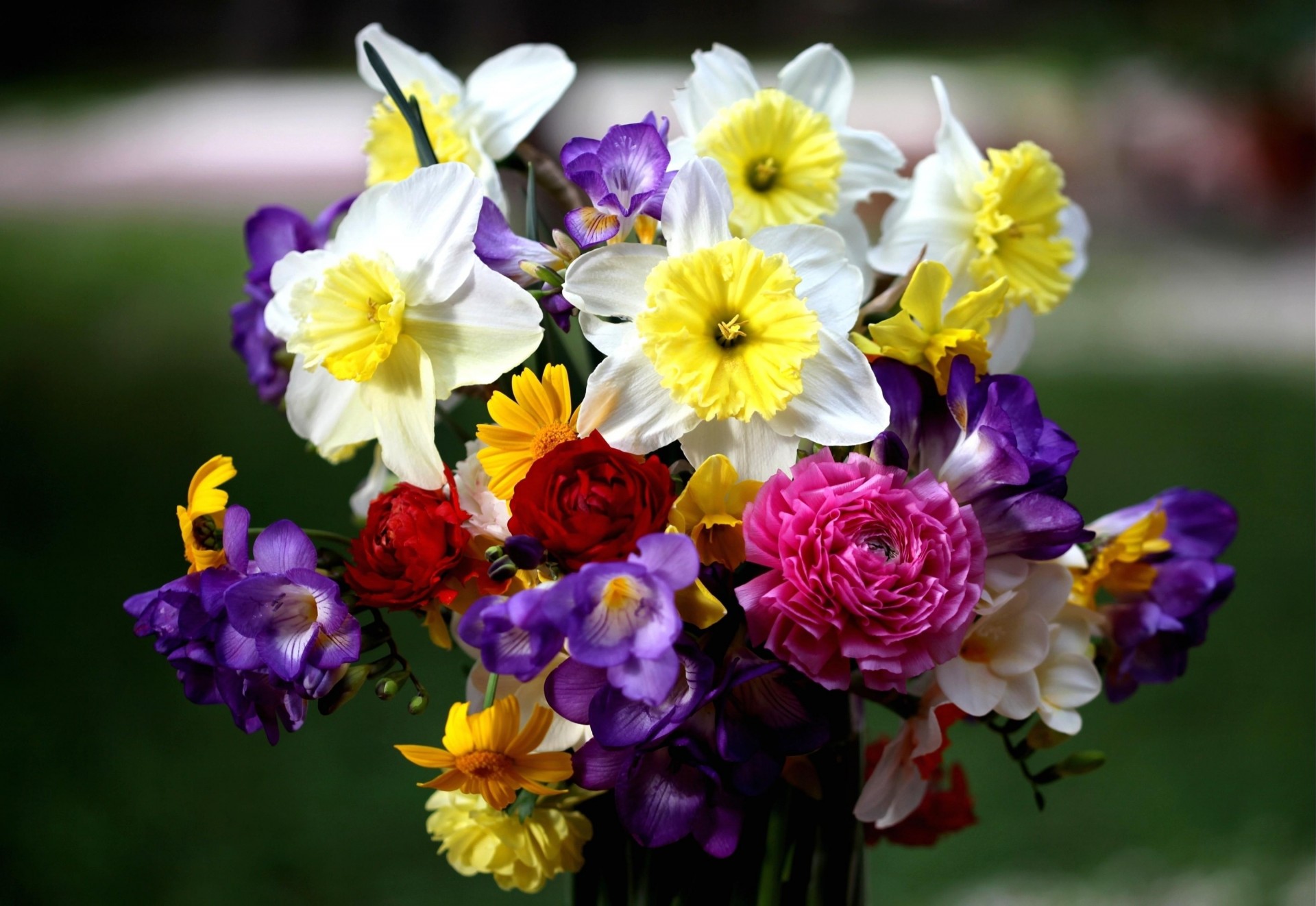 bouquet jonquilles fleurs roses freesia