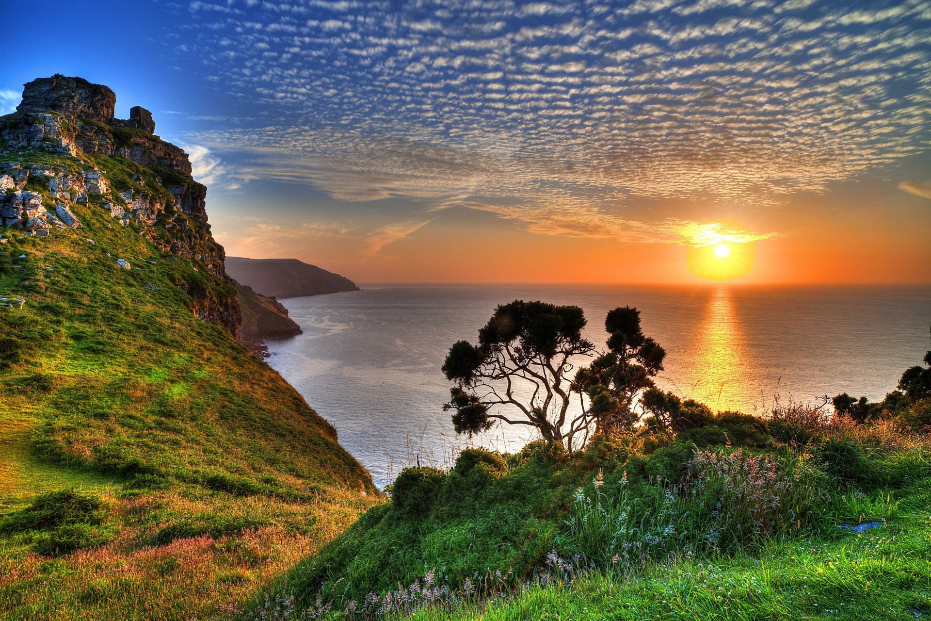 paisaje puesta de sol árbol costa exmoor mar reino unido rocas