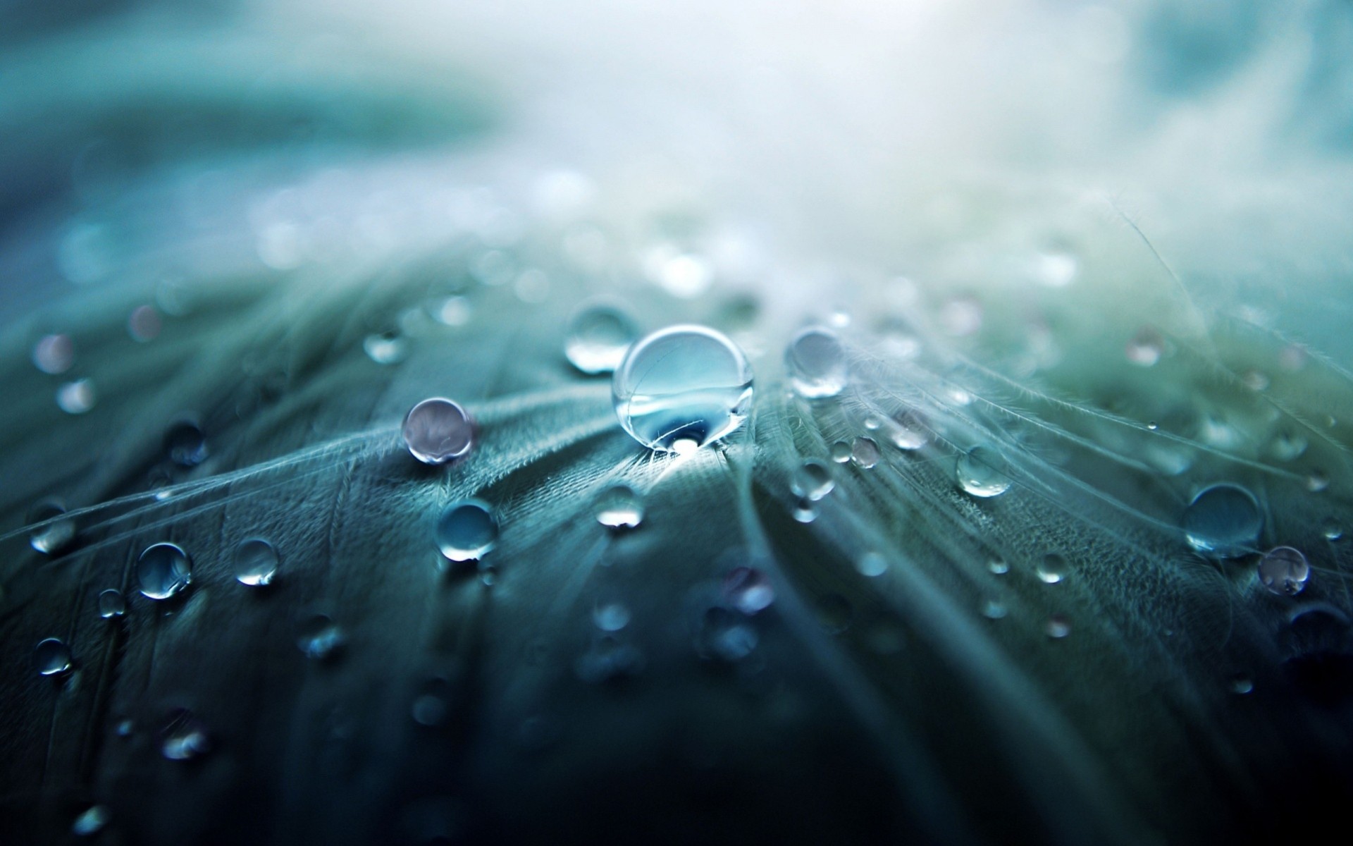 macro gotas de agua