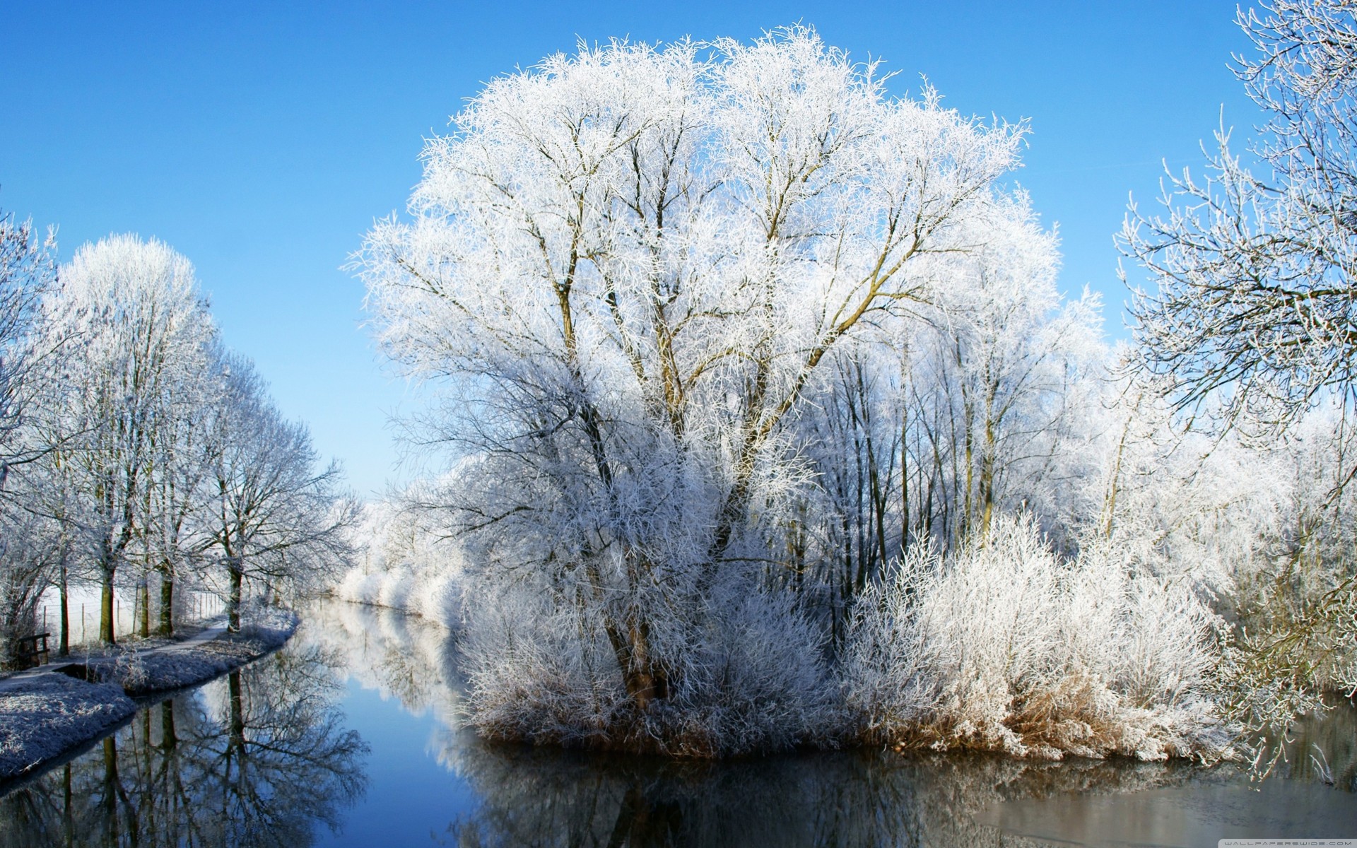 escena cielo azul congelado nieve río naturaleza paisaje reflexión palmeras azul encantador fotografía sol blanco invierno paisajes escarcha increíble winter wonderland belleza paraíso en la tierra países bajos holanda tranquilo utrecht reflexiones torre