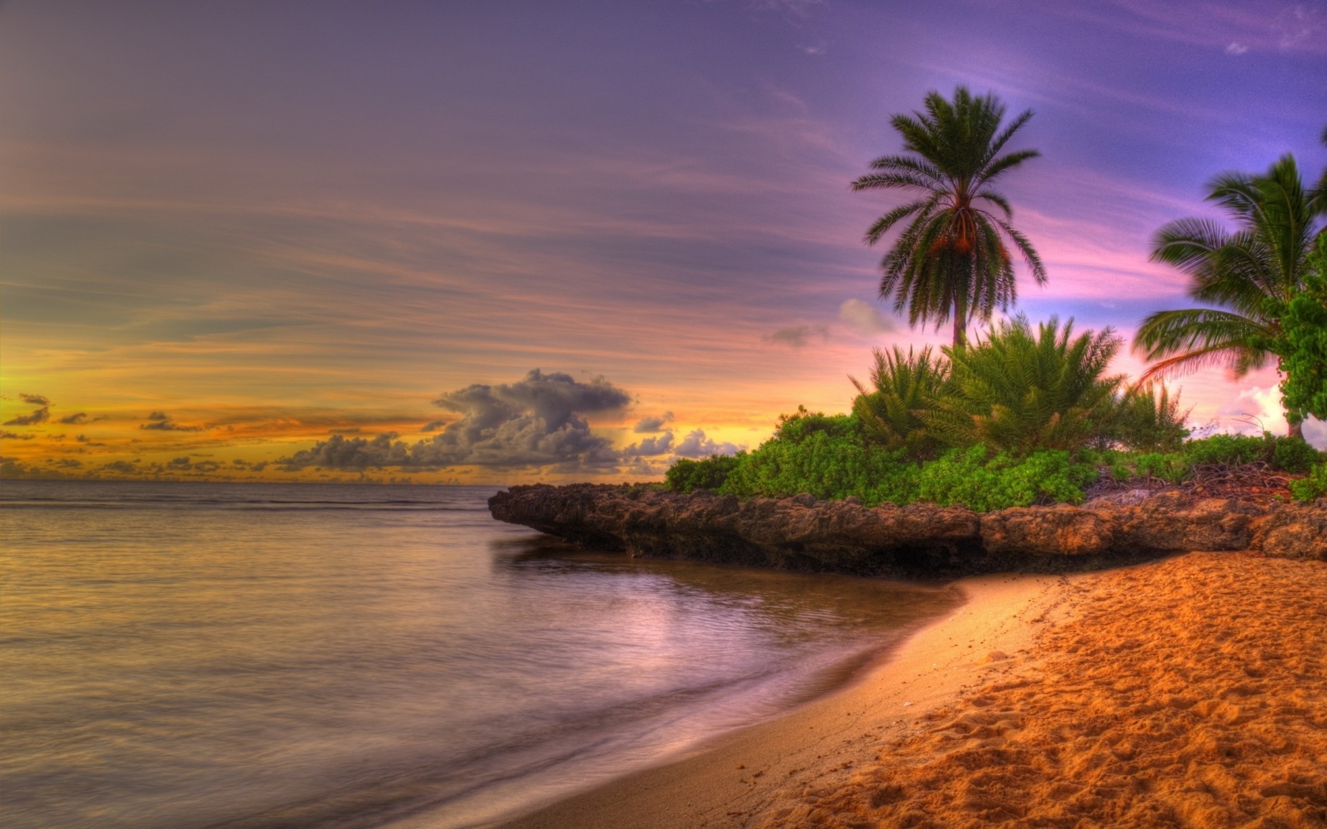 beach palm trees sunset sky tropics shore clouds sand horizon