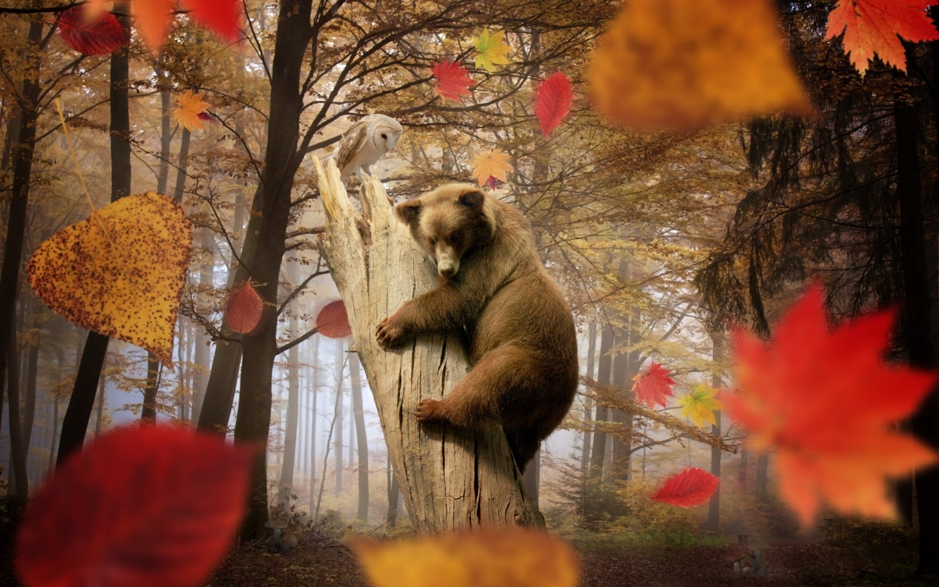 blatt bär wald tiere herbst kreativität